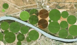 Satellitenbild