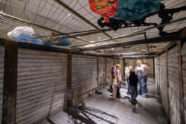 Museumspädagogische Führung